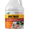 American Hydro Systems Rid O' Rust Liquid Rust Stain Remover 1 Gallon-0