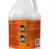 American Hydro Systems Rid O' Rust Liquid Rust Stain Remover 1 Gallon-1